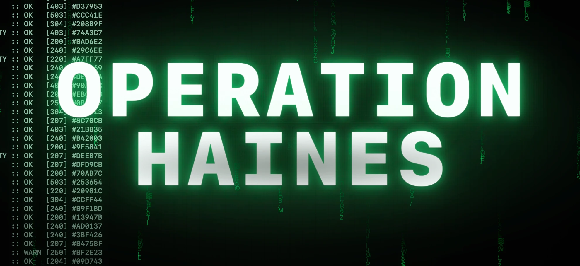 Screenshot of Operation Haines